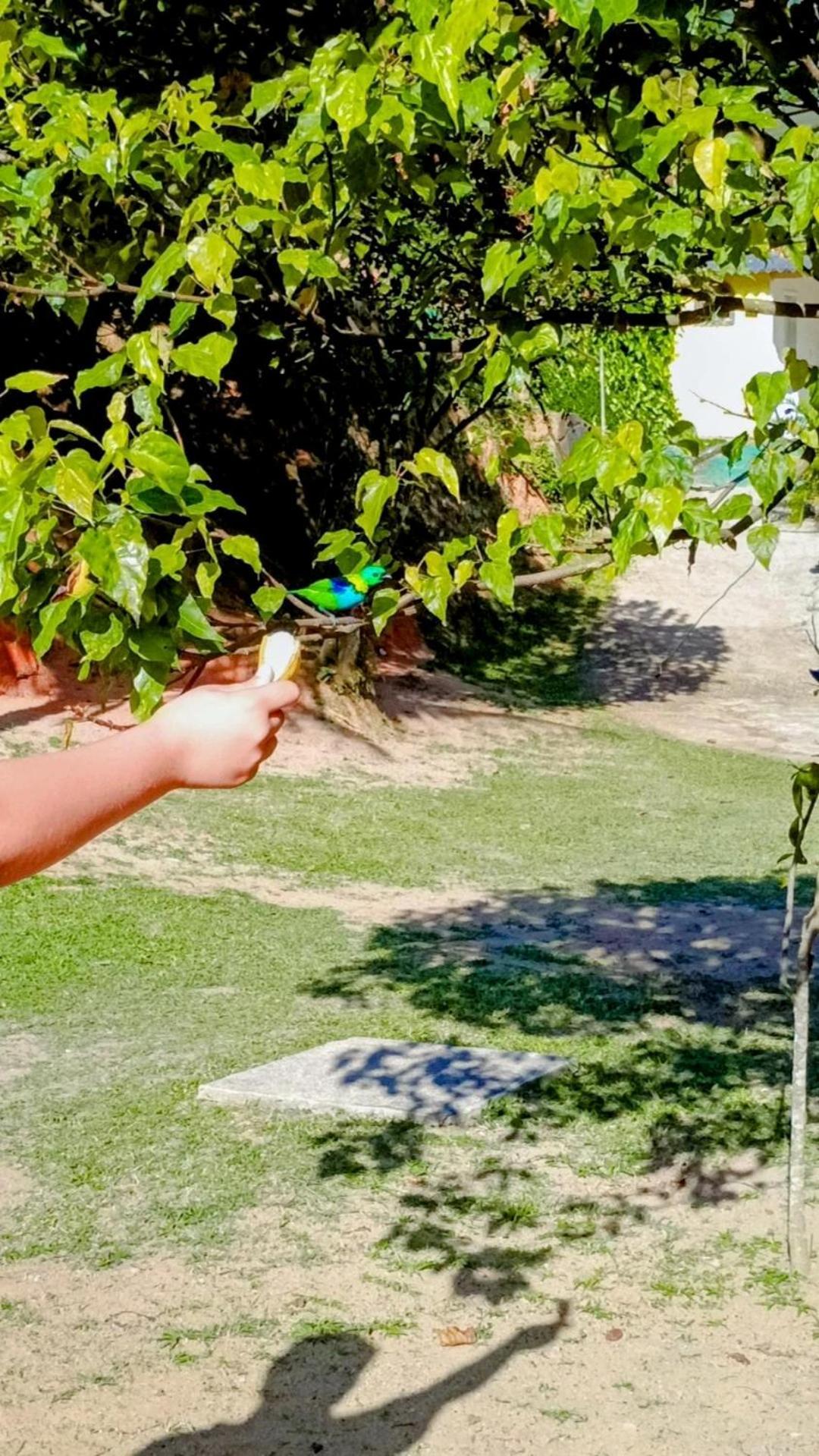 Pousada Casa Da Montanha Sana Kültér fotó